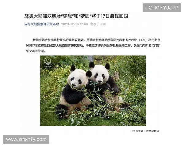 ✅体育直播🏆世界杯直播🏀NBA直播⚽- 旅德新生大熊猫双胞胎得名“梦好”“梦甜”- sports